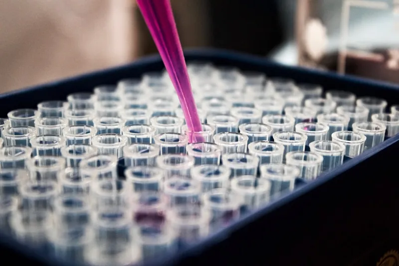 Biopolímeros PLA y PBAT verificados en laboratorio
