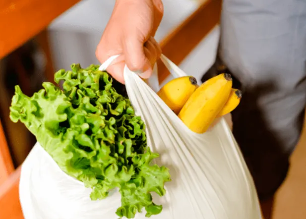 Bolsa camiseta compostable 40x50 — Biogreens
